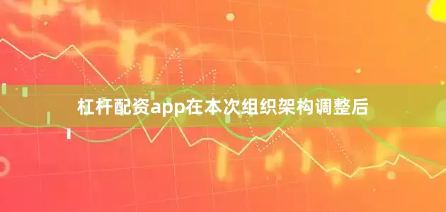 杠杆配资app在本次组织架构调整后