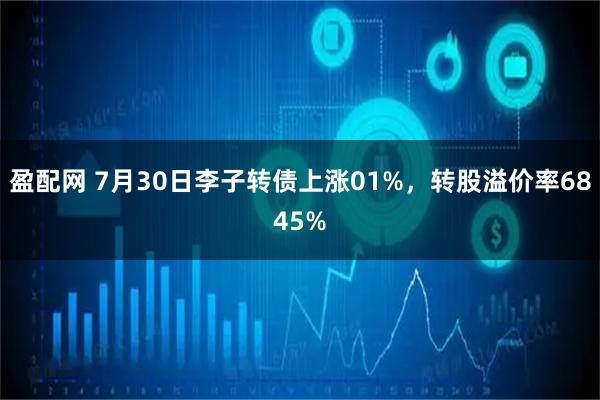 盈配网 7月30日李子转债上涨01%,转股溢价率6845%