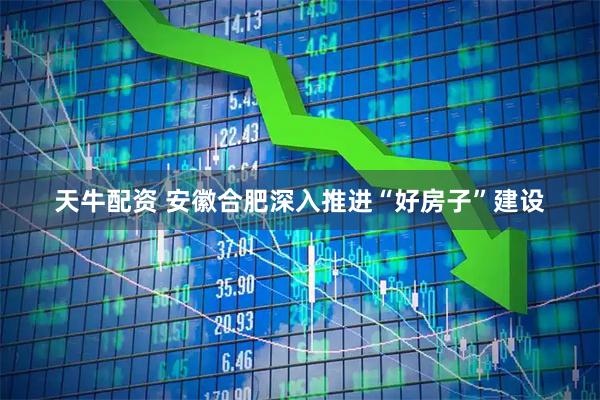 天牛配资 安徽合肥深入推进“好房子”建设