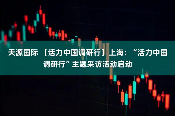 天源国际 【活力中国调研行】上海：“活力中国调研行”主题采访活动启动