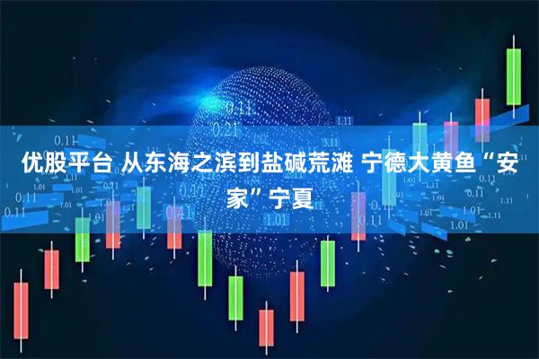 优股平台 从东海之滨到盐碱荒滩 宁德大黄鱼“安家”宁夏